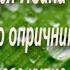 Песня про царя Ивана Васильевича молодого опричника и удалого купца Калашникова пересказ