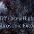 Zetandel Tiff Lacey Higher Ground Costa Aurosonic Extended Mix 2021