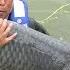 China Sportfishing Master Catches 75kg Black Carp