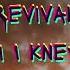 The Revivalists Wish I Knew U Lyrics