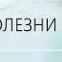 НУМЕРОЛОГИЯ БОЛЕЗНИ И МЫ Сахарный диабет Аида Байкунт Выпуск 5