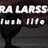 Zara Larsson Lush Life Slowed Reverb