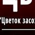 А С Пушкин Цветок Цветок засохший безуханный Слушать и Учить аудио стихи