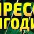 СИЛОВАЯ ТРЕНИРОВКА ДЛЯ КРАСИВЫХ ЯГОДИЦ И ПЛОСКОГО ЖИВОТА