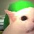 Cat Meows Saria S Song 10 Hours