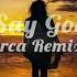 Alok Ilkay Sencan Don T Say Goodbye Feat Tove Lo Mirca Remix