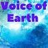 Apples From Mars The Voice Of The Earth Enigmatic Chillout NewAge