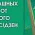 Аудиокнига Н Меркулова Даша и домовой Лесные тайны