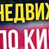 ИНВЕСТИЦИИ В НЕДВИЖИМОСТЬ ПО РОБЕРТУ КИЙОСАКИ Куда вложить деньги Николай Мрочковский 16