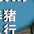 RFA独家 著名演员孙海英 上 对人民养猪一样怎么行 观点