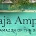 Raja Ampat The Amazon Of The Ocean