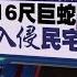 16尺巨蛇潜入住家天花板 吓坏独居老妇与家人 新闻报报看 26 11 2024