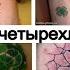 Значение тату клевер четырехлистный смысл рисунка и фото примеры для сайта Tattoo Photo Ru