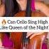 Queen Of The Night On Cello