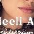 Neeli Neeli Akhiyan Slowed Reverb