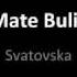 Mate Bulic Svatovska