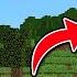 Tiny Giant Speedrunner VS Hunter In Minecraft