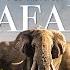 African Safari 4K Scenic Wildlife Film With African Music