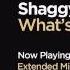 Shaggy Feat Akon What S Love Extended Mix