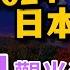 2024日本旅遊 東京自由行11月觀光活動匯報 明治神宮 新宿花園神社 東京燈光秀 哈利波特 上野公園 楓葉推薦景點 Japan Travel News