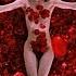 American Beauty Soundtrack Thomas Newman