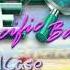 Criminal Case Pacific Bay Menu Theme Music