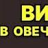 Галина Куликова Витязь в овечьей шкуре Аудиокнига