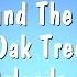 Tie A Yellow Ribbon Round The Ole Oak Tree Tony Orlando Dawn Karaoke Version