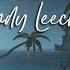 Andy Leech Vanadis Deep Chill Music