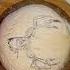 Mule Deer Sourdough Bread Muledeer Hunter Hunting Deer Sourdough Scoring Bread Art