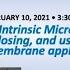 Polymers Of Intrinsic Microporosity Generating Losing Using Free Volume For Membrane Applications