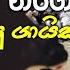 Nago Nago ක යප ග ය ක වට මරණ ඳඩ වම Noziya Karomatullo Life Story Sinhala Nago Nago Song