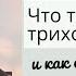 Что такое трихотилломания и как с ней бороться Эффективные методы лечения трихотилломании