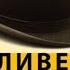 ЧЕЛОВЕК КОТОРЫЙ ПРИНЯЛ ЖЕНУ ЗА ШЛЯПУ ПСИХОЛОГИЯ Оливер Сакс Аудиокнига