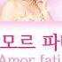 김연자 Kim Yonja 아모르 파티 Amor Fati KOR ROM ENG Lyrics Color Coded