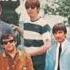 IT S MY LIFE THE ANIMALS NEW ENHANCED VERSION 1965