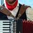 Французский Аккордеон ЛУЧШЕЕ Аккордеонист на праздник Москва French Accordion