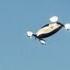 Large Mystery Drones Flying Over Neighborhoods In New York And New Jersey