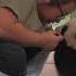 Keeper Encourages The Panda Cub To Walk