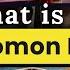 The Rashomon Effect Explained Does Truth Actually Exist