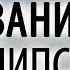 Последние времена Откровение Толкование Апокалипсиса 2 Пестов Николай