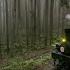 Alishan Documentary Premieres After Railway Restoration TaiwanPlus News