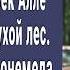 Таксист зек завез Аллу в глухой лес Поняла для чего она там и побледнела Счет шел на секунды