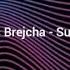 Boris Brejcha Sunrise Unreleased