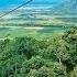 Skyrail Rainforest Cableway Kuranda To Cairns