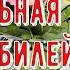 Хрустальная свадьба Трогательное Поздравление с 15 й Годовщиной с ЮБИЛЕЕМ Красивая Открытка в Стихах