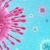 What Is Coronavirus COVID 19