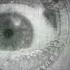 Man With A Movie Camera Michael Nyman Soundtrack