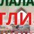 Рустамжон домла Барчага Рамазон Хайити МУБОРАК ЕТИМ БОЛАЛАРга озиқ овқат ХИСОБОТИ