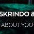 Alex Skrindo Miza About You